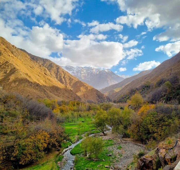 Atlas Mountains Trekking Peaks & Berber Villages