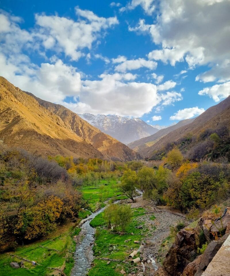 Atlas Mountains Trekking Peaks & Berber Villages