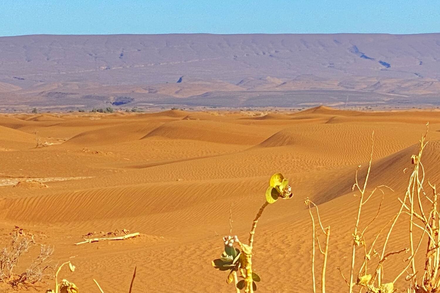 Erg Chegaga dunes