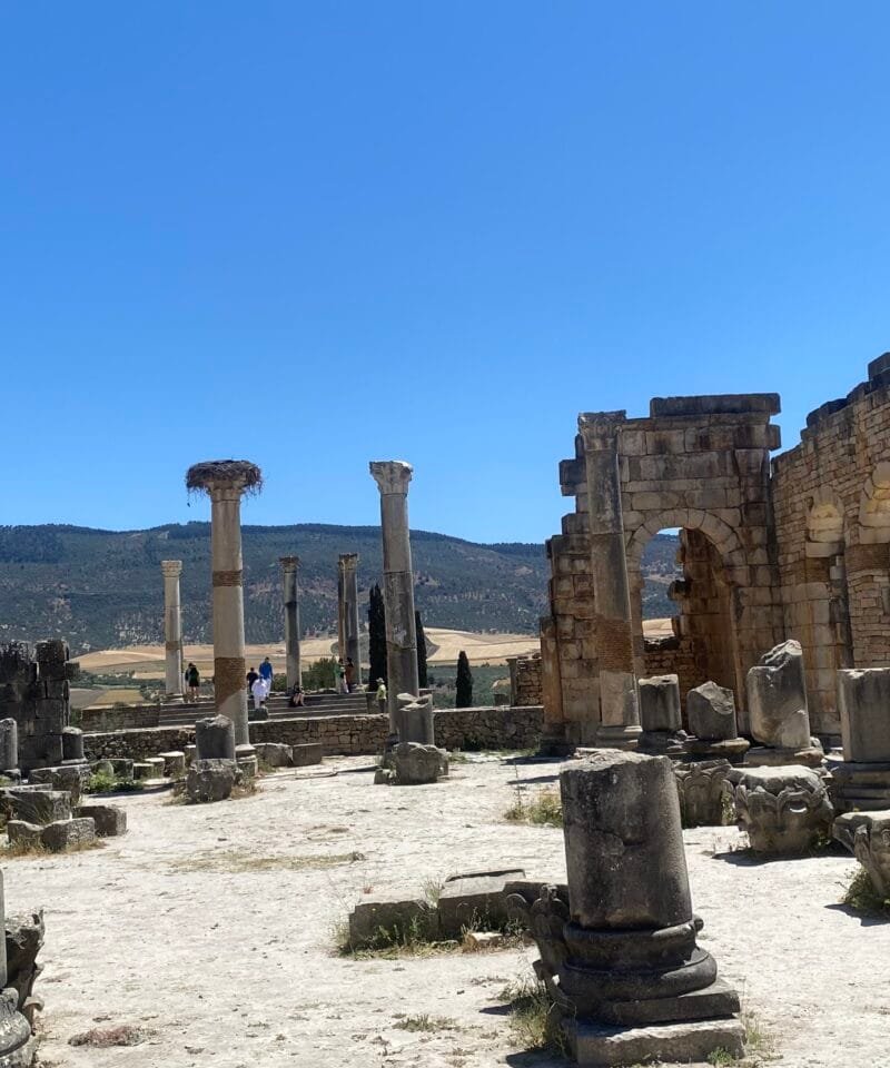 Morocco Imperial Cities Meknes & Volubilis: Imperial Grandeur & Roman Ruins