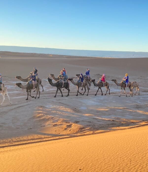 Morocco Tours