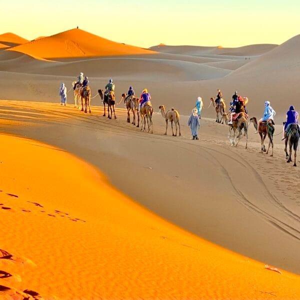 merzouga erg chebbi Desert tours Golden Dunes & Celestial Nights