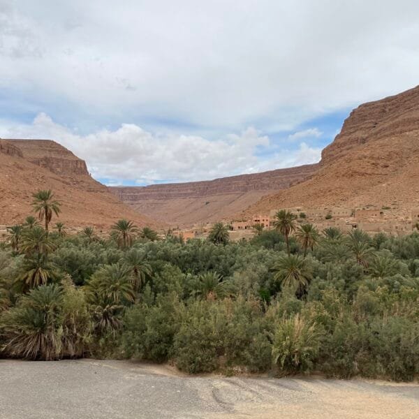 draa-valley-oasis-palms-ancient-kasbahs