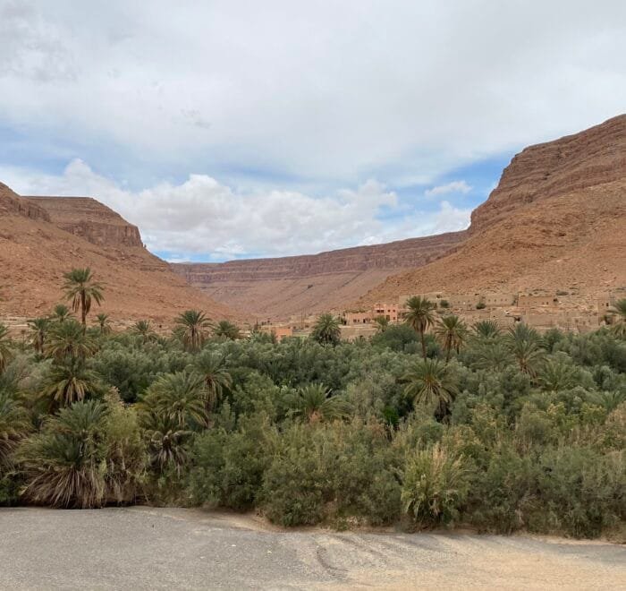 draa-valley-oasis-palms-ancient-kasbahs