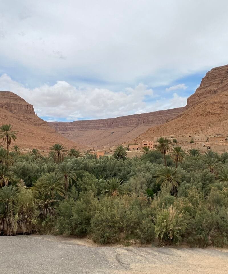 draa-valley-oasis-palms-ancient-kasbahs